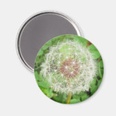 Magnet - Dandelion Seed Ball (Voorkant / Achterkant)