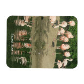 Magnet - de Flamingos in de Bronx Zoo Magneet (Horizontaal)