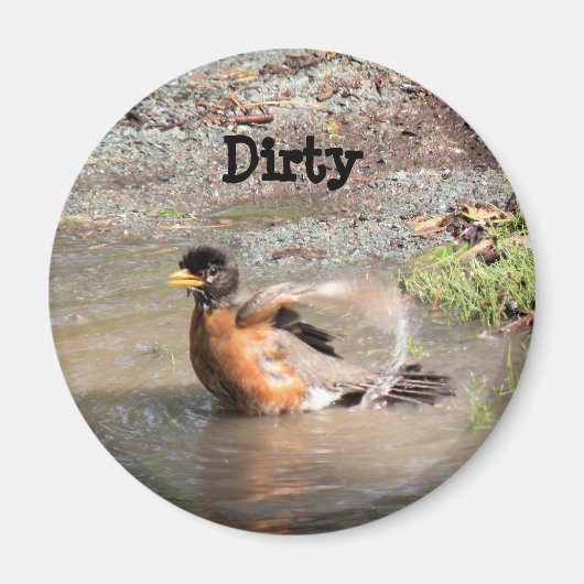 Magnet, Dishwasher, Robin die een Bath pakt, Dirty Magneet (Voorkant)