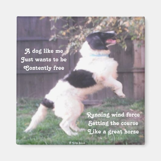 Magnet Dog Horse Poem van Ladee Basset (Voorkant)