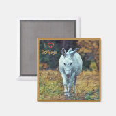 Magnet Donkey 01 (Voorkant / Achterkant)