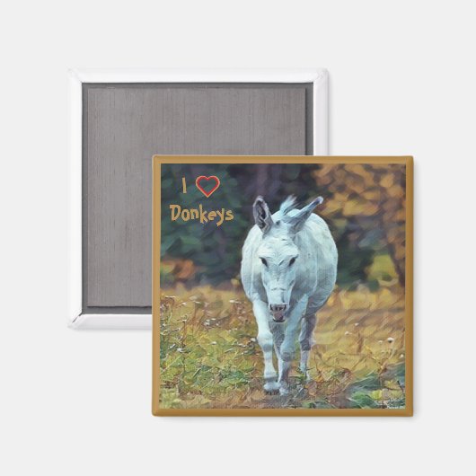 Magnet Donkey 01 (Voorkant / Achterkant)