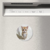 Magnet El Gato Cat Meme (Insitu (Vaatwasser))