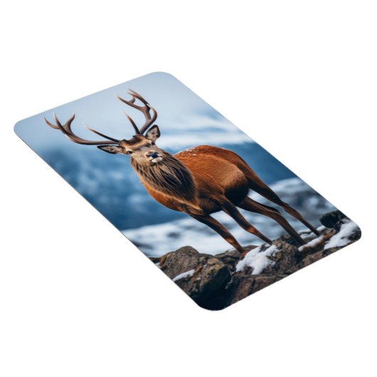 Magnet-Elk Magneet (Rechterzijde)