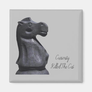 Magnet Expression "Curiosity heeft de kat gedood"