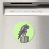 Magnet - Falcon (Insitu (Vaatwasser))