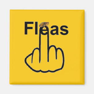 Magnet Fleas Flip