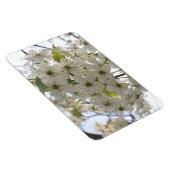 Magnet - Flexi - Blooming Bradford Pear Magneet (Rechterzijde)