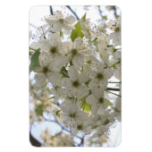 Magnet - Flexi - Blooming Bradford Pear Magneet (Verticaal)