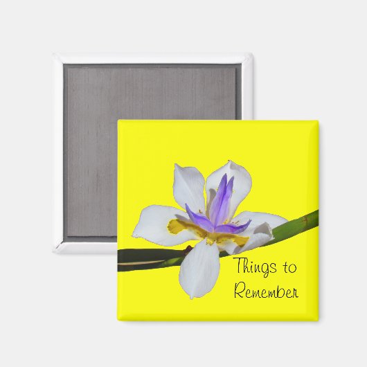 Magnet - Fortnight Lilly (Voorkant / Achterkant)