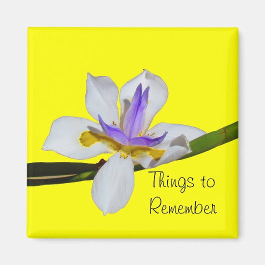 Magnet - Fortnight Lilly (Voorkant)