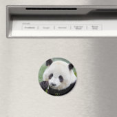 Magnet Foto reus panda, dieren 0241. (Insitu (Vaatwasser))