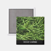 MAGNET - FRANS SAMPHIRE (Voorkant / Achterkant)