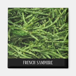 MAGNET - FRANS SAMPHIRE