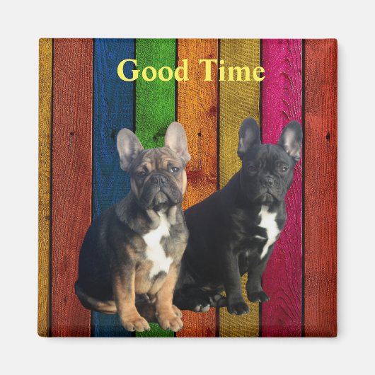 Magnet französische Bulldoggen (Voorkant)