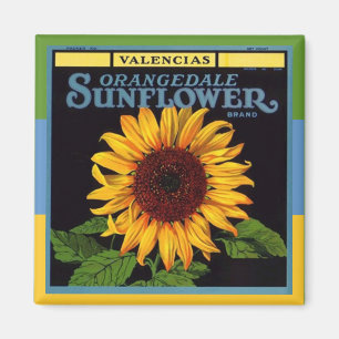 MAGNET ~  fruitkrat Adverteren zonnebloem