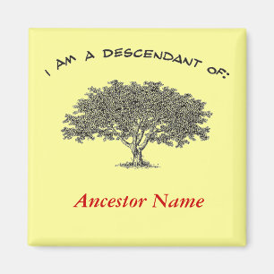 Magnet - Genalogische boom