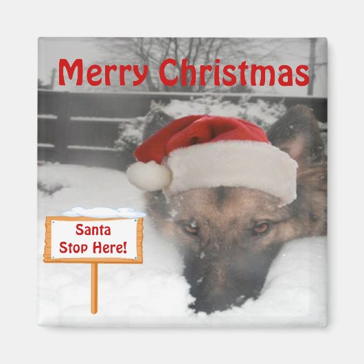 Magnet German Shepherd — Stop hier (Voorkant)
