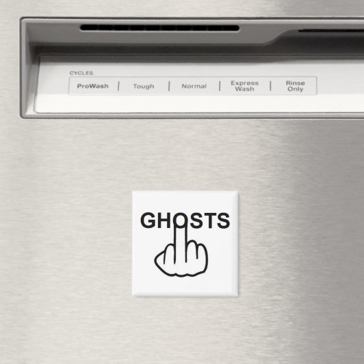 Magnet Ghost Flip (Insitu (Vaatwasser))