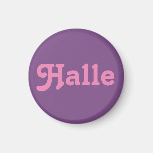 Magnet Halle