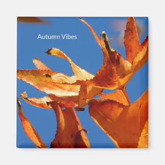 Magnet "Herfstbladeren aan de blauwe hemel"