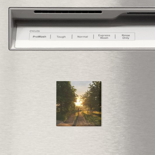 MAGNET - HOOP IN SUNSET (Insitu (Vaatwasser))