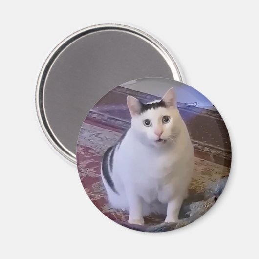 Magnet Huh Cat Meme (Voorkant / Achterkant)