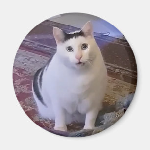 Magnet Huh Cat Meme