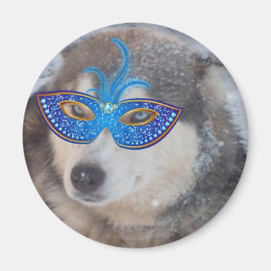 Magnet Husky Blue Eyes Mardi Gras Mask (Voorkant)