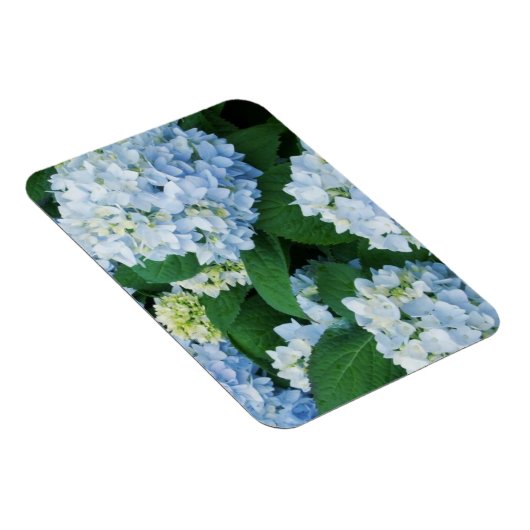 Magnet Hydrangea Magneet (Rechterzijde)