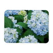 Magnet Hydrangea Magneet (Horizontaal)