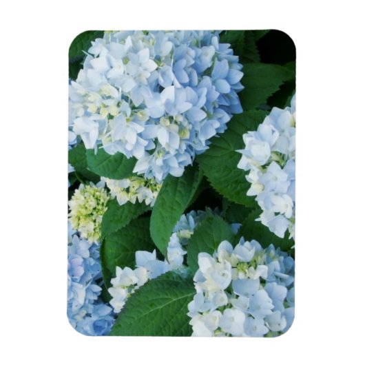 Magnet Hydrangea Magneet (Verticaal)