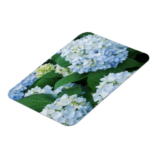 Magnet Hydrangea Magneet (Linkerzijde)