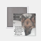 Magnet ik heb droomgedicht van Ladee Basset (Voorkant / Achterkant)