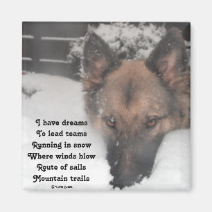 Magnet ik heb droomgedicht van Ladee Basset