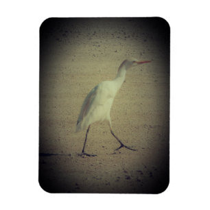 MAGNET KUNST & ONTWERP DECORATIE STIJLEN MAGNEET