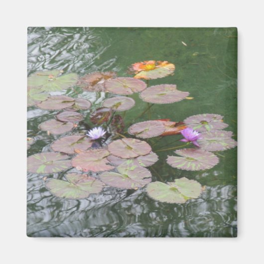Magnet - Lily Pad (Voorkant)
