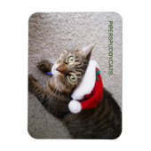 Magnet Magneet (Verticaal)