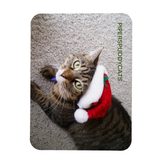 Magnet Magneet (Verticaal)