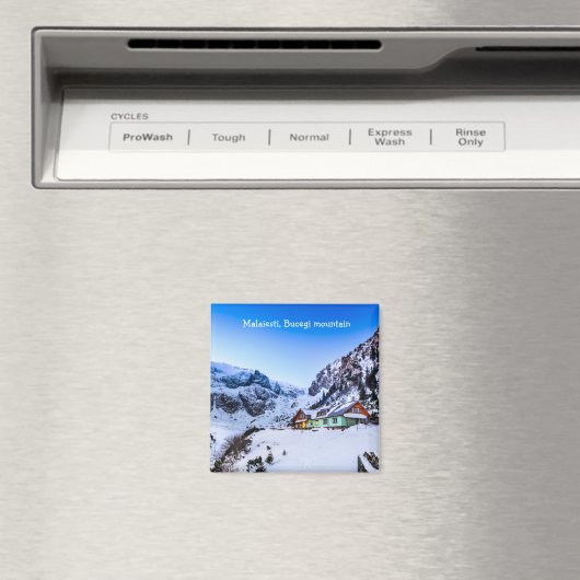 Magnet Malaiesti (Insitu (Vaatwasser))