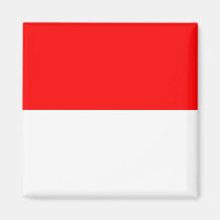 Magnet met de vlag van Indonesië