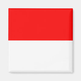 Magnet met de vlag van Indonesië
