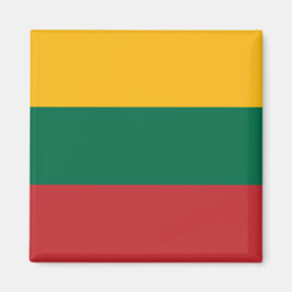 Magnet met de vlag van Litouwen