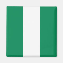 Magnet met de vlag van Nigeria