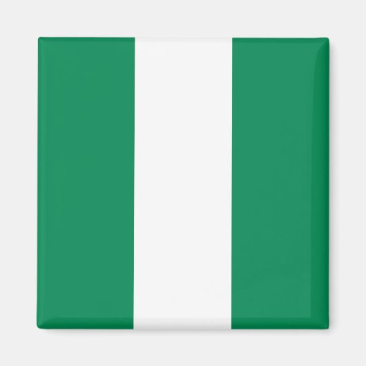 Magnet met de vlag van Nigeria (Voorkant)