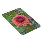 Magnet met doornhaaide dahlia magneet (Rechterzijde)