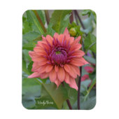 Magnet met doornhaaide dahlia magneet (Verticaal)