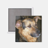 Magnet met hond (Voorkant / Achterkant)