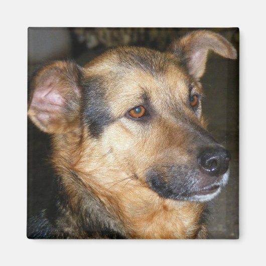 Magnet met hond (Voorkant)