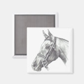 MAGNET MET HORSHOOFD (Voorkant / Achterkant)